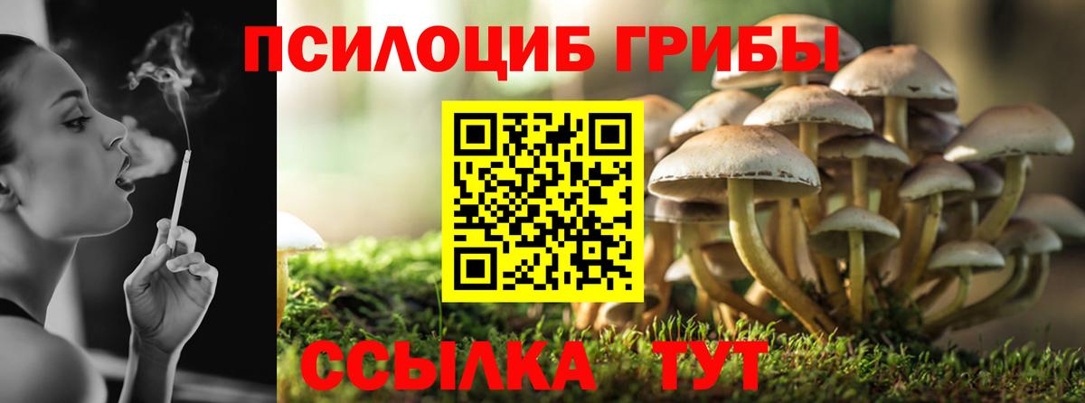 Псилоцибиновые грибы MAGIC MUSHROOMS  Вход с VPN  Сухой Лог 